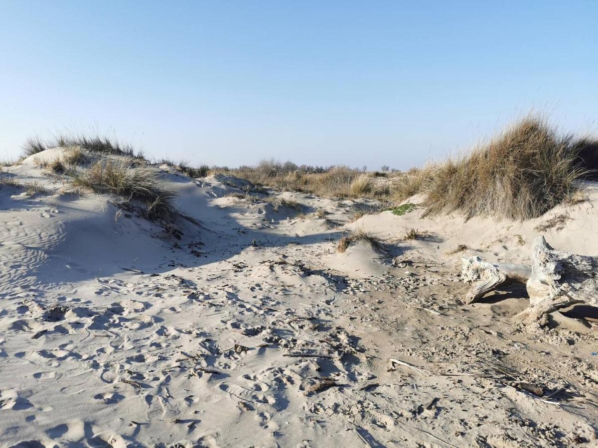 Plages De Camargue Et Logement Dans Un Site Calme De Reve Arles Extérieur photo