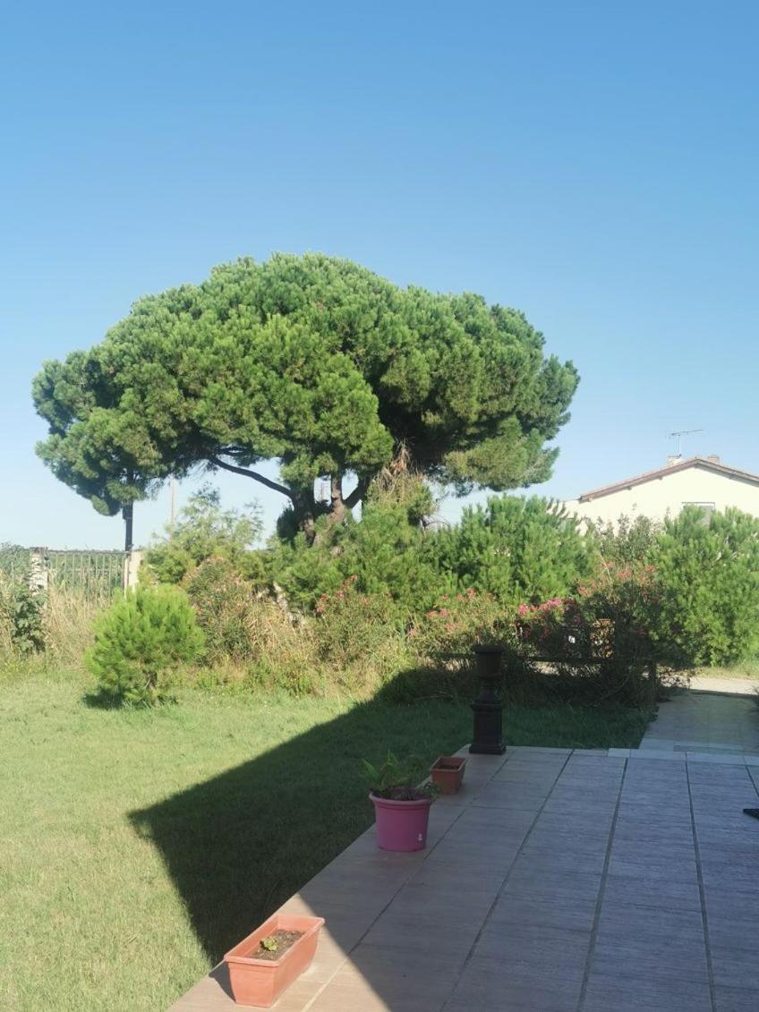Plages De Camargue Et Logement Dans Un Site Calme De Reve Arles Extérieur photo